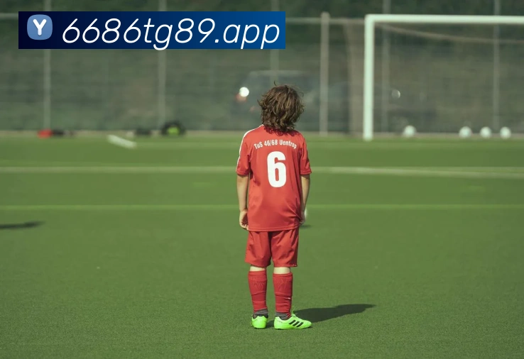6686APP 封面图